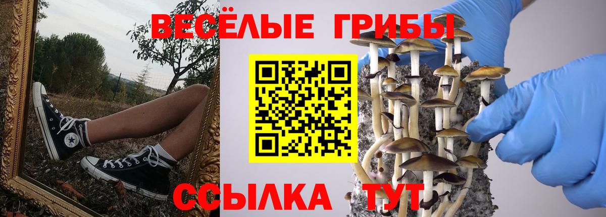 Псилоцибиновые грибы GOLDEN TEACHER Королёв