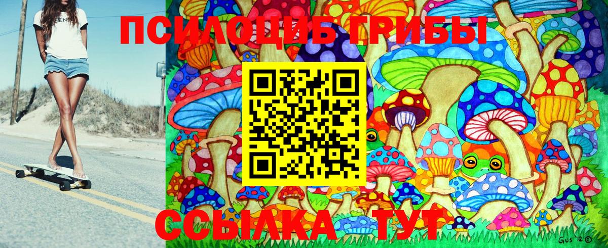Псилоцибиновые грибы Psilocybine cubensis  Галлюциногенные грибы GOLDEN TEACHER  закладки  Вход с VPN  Королёв 